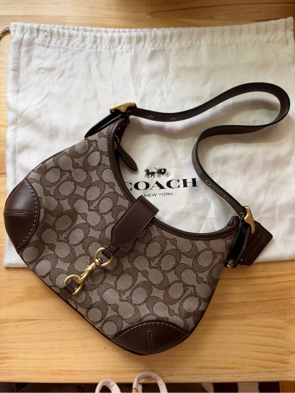 Coach Hamptons Hobo - Limited Re-Edition 2005 Brown Monogram